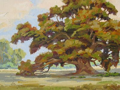 oak tree painting - Google Search Oak Tree Painting, Tom Brown, Tree Painting Canvas, Live Oak Trees, Painting Canvases, Painting Subjects, Live Oak, Trendy Tree, Tree Illustration