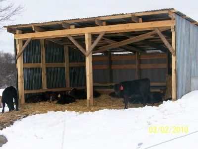 SNAPSHOTS Cattle Shed Ideas, Highland Cow Shelter, Cow Shed Design Plan, Cow Barn Ideas, Cattle Shelter, Cattle Shed, Cow Shed Design, Barn Garage Plans, Ranch Fence