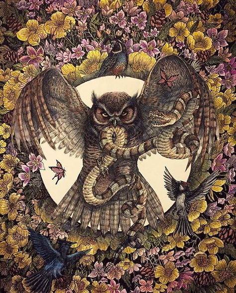 Owl catching snake illustration by saminthewolf. Sam Young, Snake Illustration, Owl Tattoo Design, Character Template, Tattoo Design Book, Green Monsters, Owl Tattoo, Halloween Inspiration, Owl Art