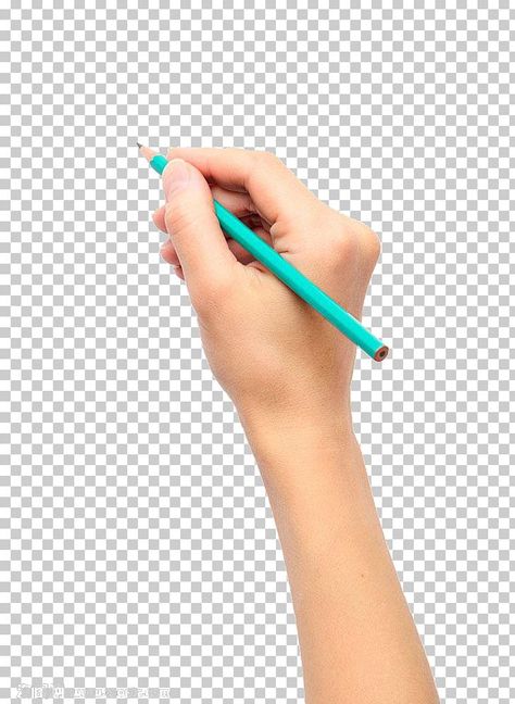 Hand Holding Something, Holding Pen, Pencil Png, Animal Print Background, Hair Clipart, Picture Drawing, Balloon Illustration, Drawing Png, Pen Illustration