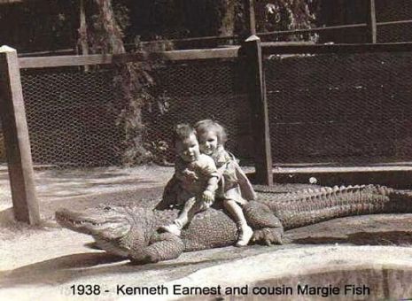 Like it says in the title, “What could possible go wrong?” A lot of these vintage images are from the Los Angeles Alligator Farm located in the Lincoln Heights neighborhood of Los Angeles, California. The singularly stupid tourist attraction was opened in 1907. In 1953 the attraction moved to Buena Park, California where it was renamed the California Alligator Farm. The farm closed its doors in 1984 due to poor attendance. I’m shocked it was allowed to go on that long, quite honestly. Ac... Florida Meme, Walking Home From School, Super Funny Pictures, Buena Park, Funny Pictures For Kids, Berry Farm, Great Cat, Dog People, Funny Dog Pictures