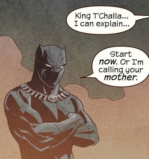 Comic Book Quotes, King T Challa, Comic Wall, Black Panther Comic, Marvel Comics Funny, Action Comics 1, T Challa, Comic Icons, Superhero Names