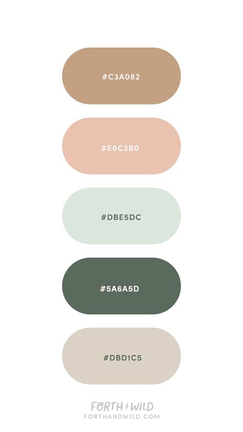 Colour Palette Inspiration, Website Color Palette, Hex Color Palette, Spring Color Palette, Palette Inspiration, Font Inspiration, Brand Color Palette, Color Palate, Color Palette Design