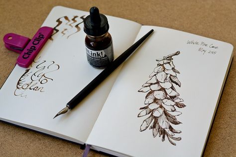 Pen & Ink Drawing Tips — Alan Li Dip Pen Illustration, Dip Pen Art, Dip Pen Drawing, Beautiful Tools, Rohan Kishibe, Moleskine Sketchbook, Feather Quill, Pen Art Drawings, Drawing Ink