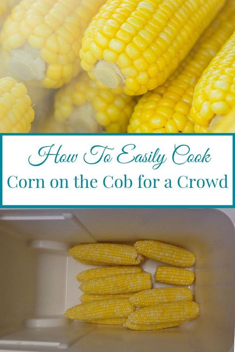 I want to show you the best recipe for making corn on the cob for a crowd. Learning how to cook corn on the cob in the cooler is the perfect solution for hot summer days or potlucks. All you'll need for this super healthy side dish is boiled water, corn, your favorite seasoning and a cooler. You'll be surprised at how quickly it will cook. Super Cheap Meals, Kid Friendly Dinners Healthy, Weekday Recipes, Cook Corn, Learning How To Cook, Healthy Cheese, How To Cook Corn, Boiled Water, Healthy Side Dish