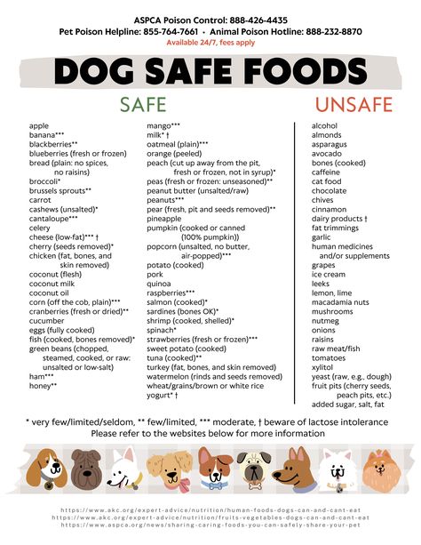 Dog Safe Food and Unsafe Food List, Safe Foods for Dogs, Unsafe Foods for Dogs, 8.5 X 11 DIGITAL DOWNLOAD, Print at Home - Etsy List Of Dog Safe Foods, Food Safe For Dogs, Foods Safe For Dogs, Dog Food Add Ins, Diy Farmers Dog Food, Safe Foods For Dogs, Dog Food For Skin Allergies, Diy Dog Treats To Sell, Food For Puppies