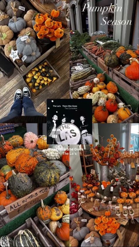 Fall Insta Story Template, Halloween Story Ideas Instagram, Pumpkin Patch Instagram Story, Halloween Ig Story Ideas, Fall Insta Story Ideas, Fall Story Instagram, Halloween Ig Story, Fall Ig Story, October Instagram Story