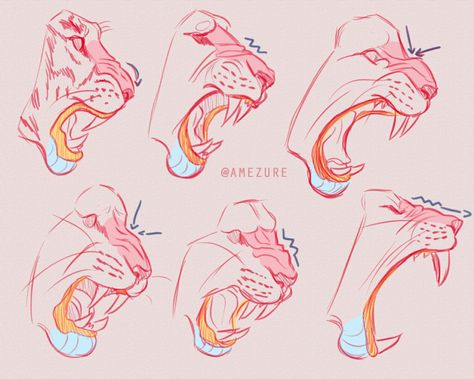 Feline Anatomy, Cat Drawing Tutorial, Cat Anatomy, Big Cats Art, 캐릭터 드로잉, Anatomy Drawing, Creature Concept Art, Animal Sketches, Anatomy Art