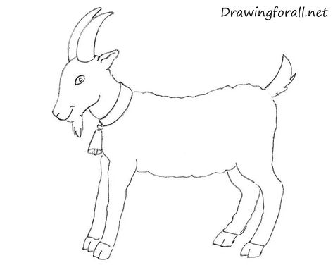 *FR*Goat Drawing & Sketches for Kids Goat Drawing Sketch, Goat Face Drawing, Baby Goat Drawing, Goat Drawing Easy, Cute Goat Drawing, Goat Drawings, Drawing Sketch For Kids, Draw A Goat, Sketches For Kids