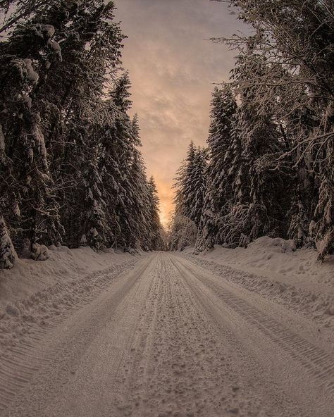 Road Aesthetic, Snowy Road, Road Photo, Winter Road, Earth Pictures, Forest Road, Winter Scenery, Destination Voyage, Best Seasons