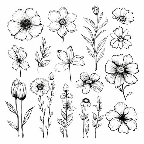 A collection of flowers and plants from ... | Premium Vector #Freepik #vector #clipart #illustrations #clip-art #zinnia Clip Art Flowers, Collection Of Flowers, Logo Psd, Technology Icon, House Vector, Simple Illustration, Card Banner, Poster Invitation, Presentation Template Free