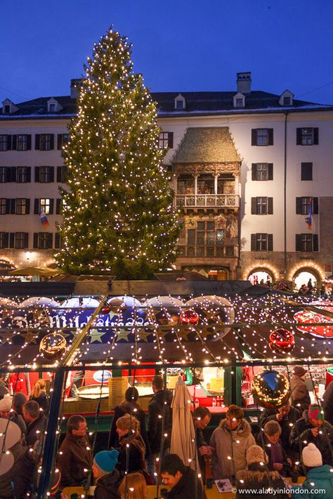 The Christmas market in Innsbruck, Austria is great. This Innsbruck, Austria winter travel guide will show you Innsbruck winter highlights. From skiing in Innsbruck the Innsbruck Christmas market, there’s a lot going on in winter and Christmas in Innsbruck. #innsbruck #austria #winter #christmas Austria Winter, Christmas In Germany, Innsbruck Austria, Christmas In Europe, Christmas World, Christmas Markets Europe, Christmas In The City, World Party, Austria Travel