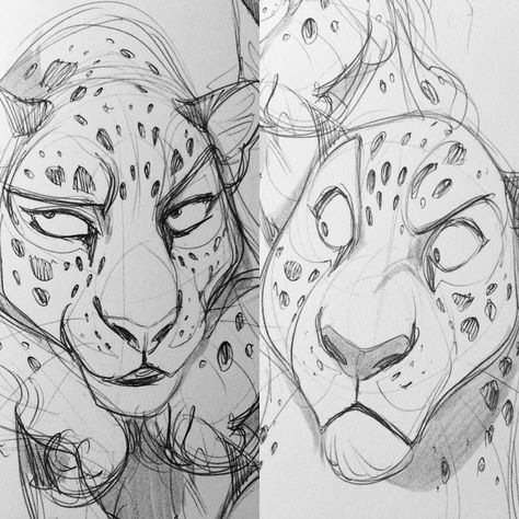 Some rough leopard-sketches 🐱 #art #arty #artwork #artstagram #vixiearts #2d #draw #draws #drawing #illustration #leopard #cat #ballpointpenart #characters Leopard Sketch, Pet Anime, Plan Image, Sketches Art, Cartoon Artwork, Leopard Cat, Poses References, Wow Art, Animal Sketches