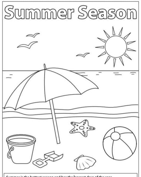 Summer Season Worksheet Kindergarten, Summer Season Worksheets For Kids, Seasons Worksheets Preschool, Summer Coloring Pictures, Seasons Coloring Pages, Seasons Lessons, Seasons Worksheets, Summer Preschool Activities, Weather Worksheets