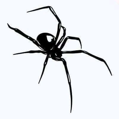 Black Widow Tattoo, Widow Spider, Black Widow Spider, Sharpie Tattoos, Small Pretty Tattoos, Tasteful Tattoos, Spider Tattoo, Creepy Tattoos, Pretty Tattoos For Women