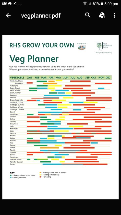 #gardening #gardeninghacks #gardeningtips Veg Growing In Small Gardens, When To Plant Vegetables Uk, Growing Vegetables Uk, Veg Patch Ideas Layout, Easy Veg To Grow Uk, Vegetable Garden Uk, Vegetable Patch Design, Allotment Plan Layout, Small Veg Patch Ideas