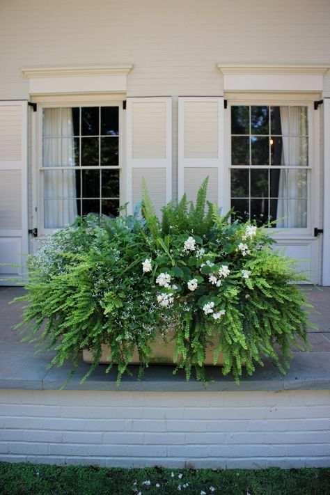 Completed Work | Floralis Garden Design Garden Desig, Container Garden Design, Container Gardening Flowers, Garden Makeover, Outdoor Flowers, Garden Containers, Garden Designs, White Gardens, Container Flowers