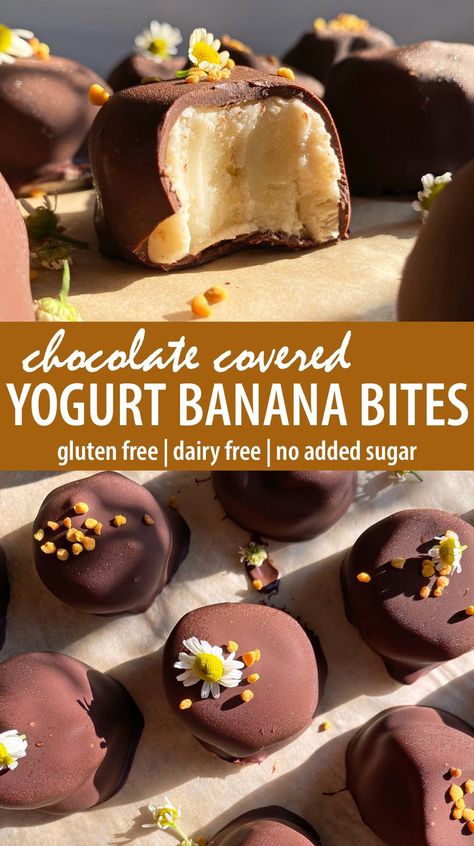 These frozen banana yogurt bites are paleo, vegan and have no added sugar. They're made with ripe bananas, dairy free yogurt and coated in dark chocolate. This banana bites recipe is the perfect summer treat! Chocolate Frozen Bananas, Banana Protein Bites, Banana Yogurt Bites, Freezer Treats, Work Snacks, Adult Snacks, Frozen Fruit Recipes, Frozen Yogurt Bites, Healthy Fruit Snacks