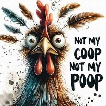 Rooster Quotes, Funny Chicken Pictures, Monday Humor Quotes, Chicken Drawing, Cute Animal Quotes, Chicken Pictures, Funny Day Quotes, Good Morning Funny Pictures, Funny Chicken