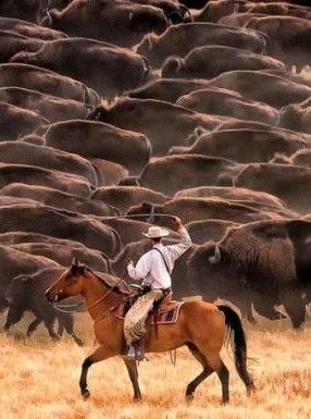 The Cowboy Way, Ranch Vacation, Cowboy Life, American Cowboy, Rodeo Cowboys, Cowboy Pictures, Cattle Ranch, Cowboy Stuff, Real Cowboys