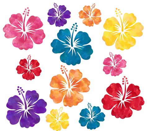 Hibiscus Flowers June Wallpaper, Nail Decals Diy, Hawaiian Flower, Phone Wallpaper Patterns, Hawaiian Flowers, Flower Clipart, Water Slide, Hibiscus Flower, Summer Wallpaper