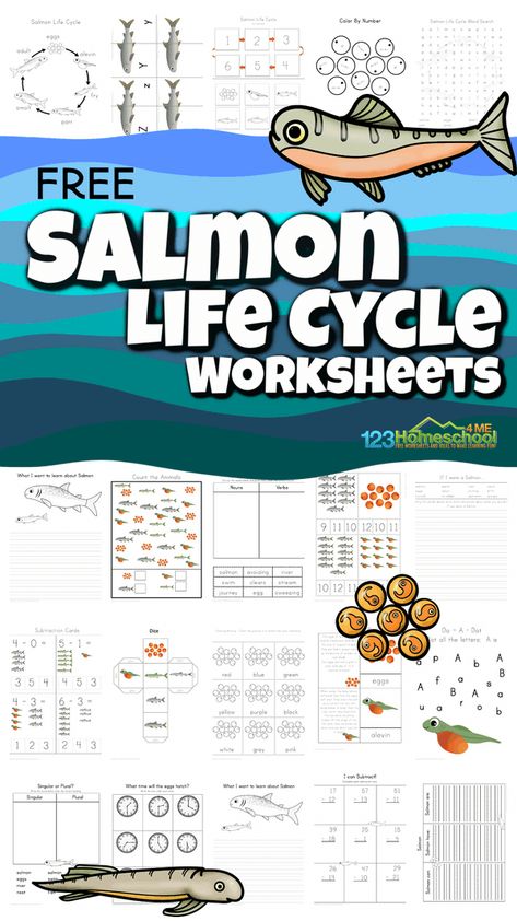 Whether you are studying the Life Cycle of Salmon specifically, learning about animal life cycles, or are just looking for a fun science activity for your fish theme, this salmon life cycle worksheet pack is perfect! This salmon life cycle for kids is perfect for preschool, pre-k, kindergarten, first grade, and 2nd graders. Not only will kids learn about with the fish life cycle worksheet, but they will get a chance to work on math and literacy skills too. Fish Learning Activities, Salmon Life Cycle Activities, Salmon Activities For Kids, Fish Unit Study, Salmon Life Cycle, Fish Life Cycle, Life Cycle Worksheet, Penguin Life Cycle, Life Cycles Kindergarten