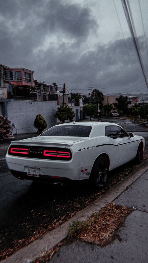 Dodge Challenger Wallpapers, White Challenger, Challenger Wallpaper, 60s Muscle Cars, Dream Cars Bmw, Super Fast Cars, Dodge Muscle Cars, Dodge Challenger Srt, Best Muscle Cars