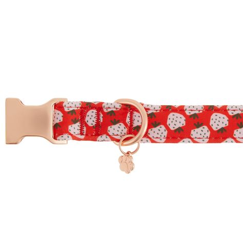 Dogs Leash, Strawberry Design, Cute Dog Collars, Wire Dog Crates, Pet Stores, Small Dog Collar, Wild Bird Food, Two Fingers, Random Ideas