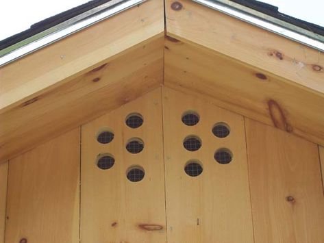 Chicken Coop Ventilation - Go Out There And Cut More Holes In Your Coop! | BackYard Chickens - Learn How to Raise Chickens Chicken Coop Ventilation, Coop Ventilation, Portable Chicken Coop, Chicken Coup, Diy Chicken Coop Plans, Chicken Life, Coop Design, Best Chicken Coop, Chicken Coop Designs