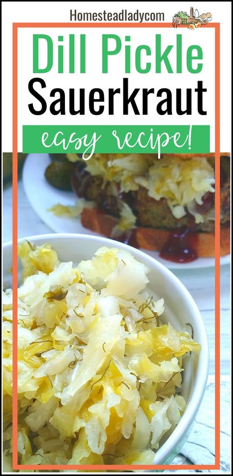 bowl of dill pickle sauerkraut with meatloaf sandwich Easy Sauerkraut, Easy Sauerkraut Recipe, Canning Pickles Recipe, Homestead Pantry, Herbal Wellness, Meatloaf Sandwich, Sauerkraut Recipe, Dried Dill, Dill Recipes