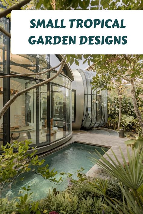 Modern home with curved glass walls overlooking a lush tropical garden and small pool. Small Tropical Garden Design, Small Tropical Garden Ideas, Small Tropical Gardens, Umbrella Tree, Tropical Garden Design, Tropical Backyard, Side Yards, Tropical Gardens, Front Yards