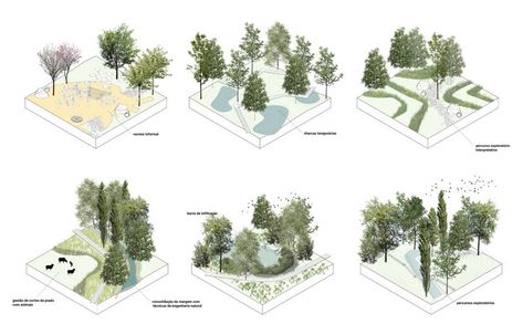 ecological approach to water drainage, mantainance, biodiversity and social use of a park Public Garden Design, Amphitheater Architecture, Landscape Architecture Presentation, Landscape Architecture Plan, Graphic Panels, Lily Wallpaper, Urban Design Architecture, Ecology Design, Architect Drawing