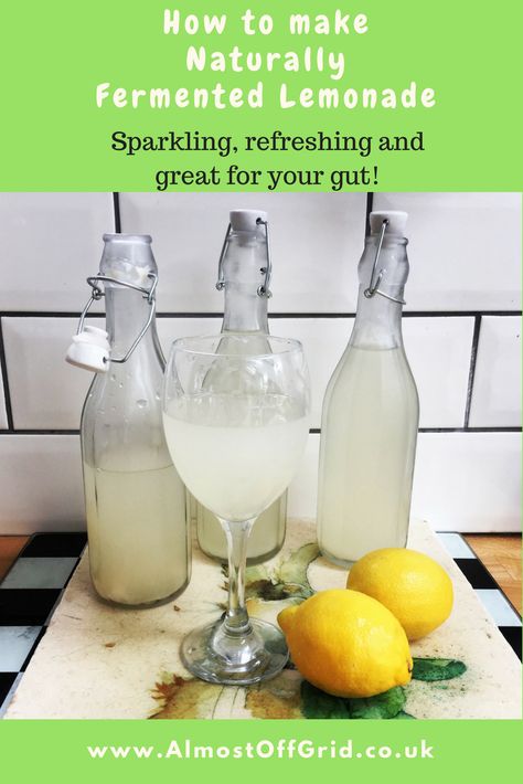 Probiotic Lemonade Recipe, Fermented Lemonade, Fermented Food Recipes, Probiotic Lemonade, Fermented Vegetables Recipes, Good Lemonade Recipe, Easy Lemonade Recipe, Fermented Drinks, Ginger Bug