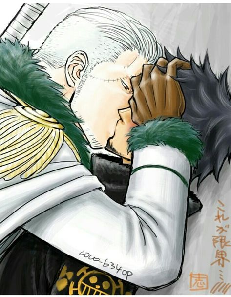 Law X Smoker, One Piece Ship, Hero Academia Characters, One Piece