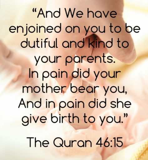 parents in islam. quran on parents. love your parents Parents In Islam, Beautiful Mother Quotes, Honor Your Parents, Love Your Parents, Mother Bear, Mother Bears, Give Birth, The Quran, Beautiful Quran Quotes