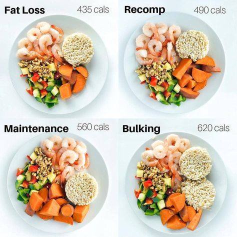 Healthy Portion Sizes, Clean Bulk Meal Plan, Bulk Meals, Food Portion Sizes, Clean Bulk, Different Goals, Weight Maintenance, Portion Sizes, Healthy Meal Plans