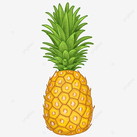 Pineapple Backgrounds, Cartoon Pineapple, Pineapple Clipart, Pineapple Drawing, Fruit Png, Fruit Combinations, Guava Fruit, Fruit Labels, Pineapple Planting