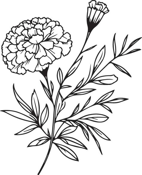 Marigold Flower Outline, Marigold Fine Line, Marigold Line Drawing, Aster Drawing, Marigold Drawing, Tattoo October, Flower Marigold, Spring Elements, Marigold Tattoo