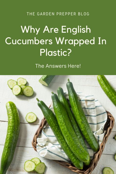 Pickled English Cucumbers, Pickled English Cucumber Recipes, Growing English Cucumbers, English Cucumber Pickles, English Cucumber Recipes, Starting Vegetable Seeds, Cucumber Seeds, Growing Veggies, Cucumber Recipes