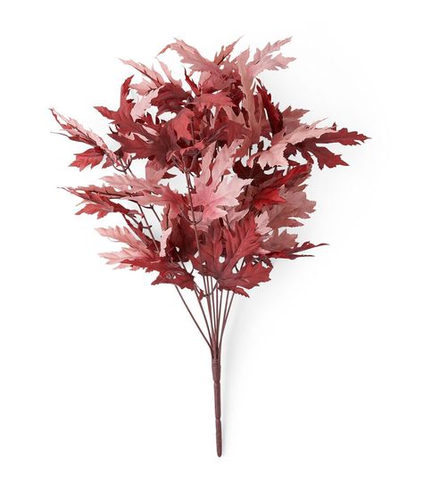 Bring the Beauty of Fall Indoors with the 18" Fall Pink & Burgundy Maple Leaves Bush by Bloom RoomTransform your home into a comfy autumn oasis with the 18" Fall Pink & Burgundy Maple Leaves Bush by Bloom Room This stunning decorative piece is perfect for adding a touch of warmth and color to any room in your home The beautiful pink and burgundy hues of the maple leaves create a comfy and inviting atmosphere that will make you feel right at homeMeasuring 14" L x 14" W x 18" H, this maple leaves bush is the perfect size for displaying on a mantle, bookshelf, or coffee table The 90% polyester and 10% stem construction ensures that this decorative piece will last for many autumns to come Product DetailsDimensions: 14" L x 14" W x 18" H90% Lvs(80%Polyester 20%Polyethylene), 10% Stem(90%Polyeth Burgundy Fall Decor, Pretty Porches, Fall Pink, Pink And Burgundy, Fall Mantle, Bohemian Fall, Decor 2024, Fall Outdoor, Maple Leaves