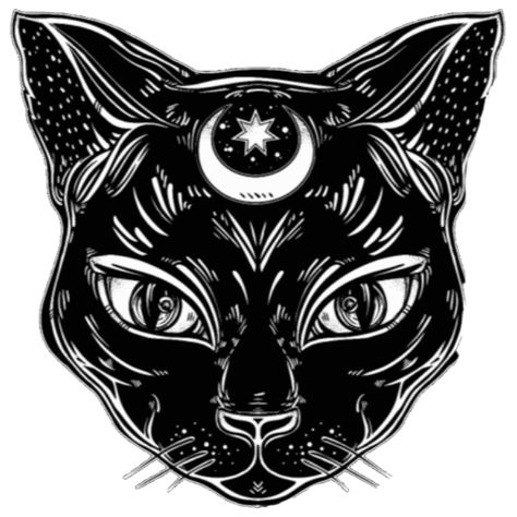 Black Cat, My Art, Witch, Moon, Black, Design, Art