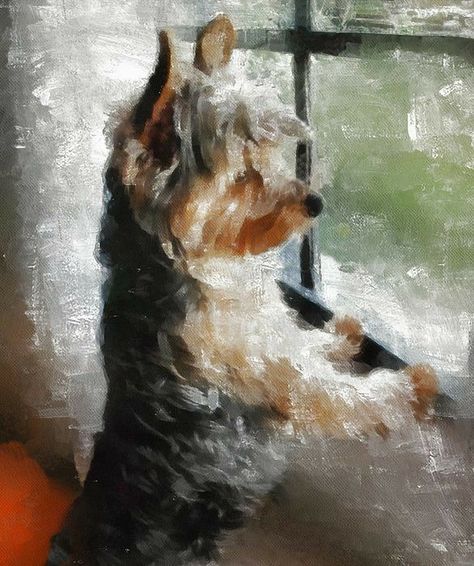 Yorkshire Painting, Yorkie Painting, Yorkie Art, Inspiration Wall Art, Wall Art Inspiration, Animal Paintings Acrylic, Dog Portraits Art, Wallpaper Wall Art, Wall Art Aesthetic