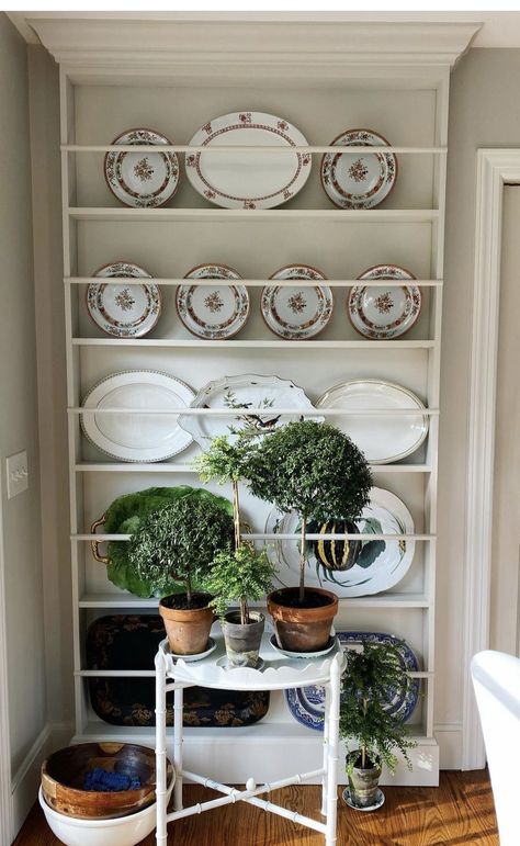 Top Paint Colors, Dark Dining Room, Plate Shelves, Dish Display, Southern Cottage, Show House, Plate Rack, Favorite Paint Colors, Kitchen Corner