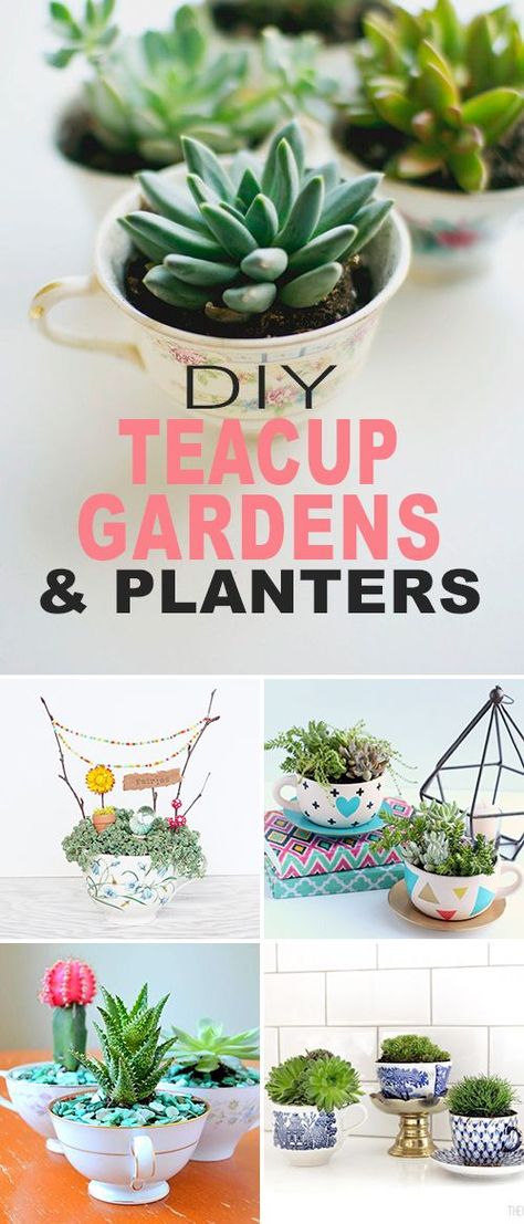 DIY Teacup Gardens and Planters! • Click thru to learn more about how to make these gorgeous DIY teacup gardens! Lots of projects and tutorials! #DIY #teacupgardens #teacupplanters #DIYteacupgardens #DIYteacupplanters #gardening #DIYgardenprojects Teacup Gardens, Succulent Art, Tutorials Diy, Succulents Indoor, Diy Spring, Creative Gardening, Succulent Terrarium, Gardening Gloves, Succulent Garden