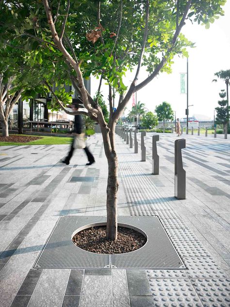 Tree Grate Design, Street Architecture Design, Urban Street Design, Tree Grate, Streetscape Design, Pavement Design, Paving Design, Urban Landscape Design, Street Trees