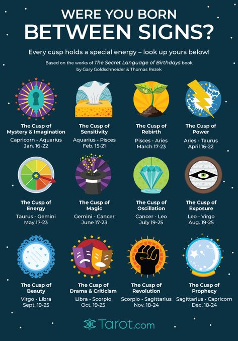 If you were born on the cusp between two zodiac signs, you'll feel the influence of them both! Learn about each of the 12 cusps in Astrology here. Cusp Signs, Zodiac Cusp, Signs And Symbols, Magia Das Ervas, Birth Chart Astrology, Learn Astrology, Astrology And Horoscopes, Astrology Numerology, Astrology Chart