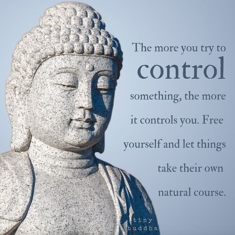 The more you try to control something, the more it controls you. Free yourself and let things take their own natural course. Tiny Buddha, Buddha Quotes Inspirational, Buddhist Teachings, Buddhism Quote, Buddhist Quotes, Free Yourself, Buddha Quote, Buddha Quotes, Dalai Lama