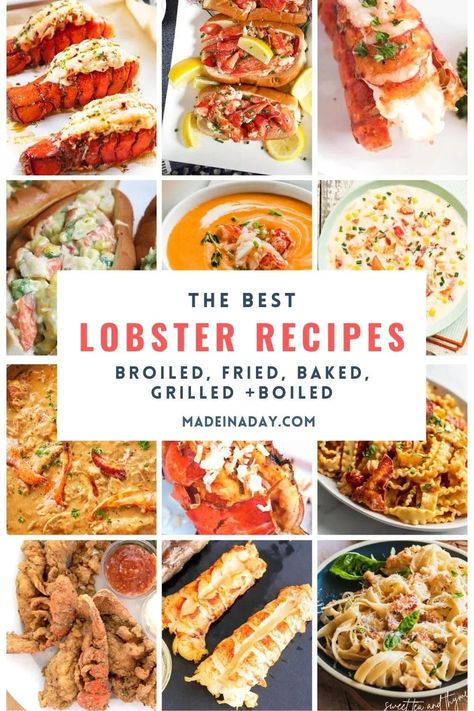 Skip the expensive steak and lobster houses and try one of these lobster dinner ideas at home! Great for holiday meals, date night, or any time of the week! lobster recipes ideas, lobster pasta recipe, lobster roll, how to cook a lobster tail Recipes With Seafood, Lobster Dinner Ideas, Dinner Ideas At Home, Lobster Pasta Recipe, Simple Food Recipes, Expensive Steak, Steak And Lobster, Lobster Pasta, Seafood Dish Recipes