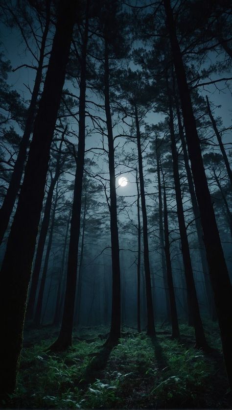 Dark Forest Aesthetic, Amoled Wallpapers, Dark Landscape, Forest Aesthetic, Zodiac Academy, Forest Night, Forest Background, Art Forest, Mystical Forest