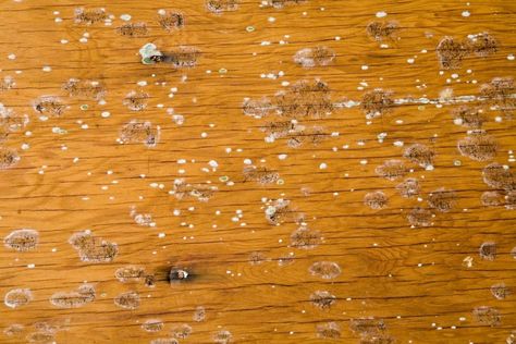 How To Remove Mold From Wood How To Clean Mold From Wood Furniture, How To Remove Mold From Wood, Mold Remover On Wood, Remove Mold From Wood, Remove Mold From Walls, Diy Mold Remover, Mold Smell, How To Remove Mold, Remove Mold